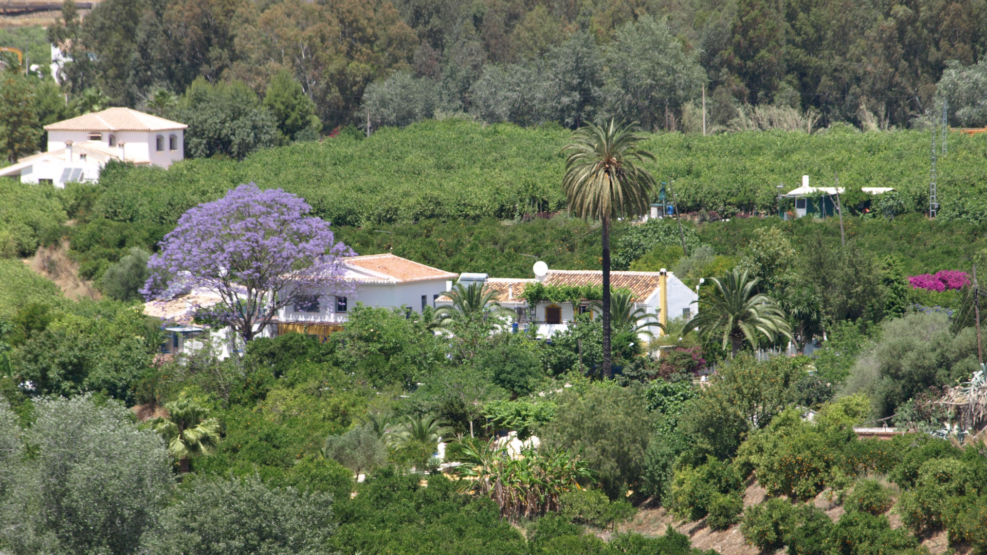 Villa La Moraleda